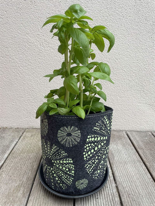 EcoFelt Growbag - Kina Green On Grey