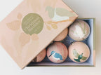Box of Six Modern Native Bird Christmas Baubles