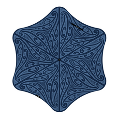 Blunt x Graham Tipene Umbrella Limited Edition 2025