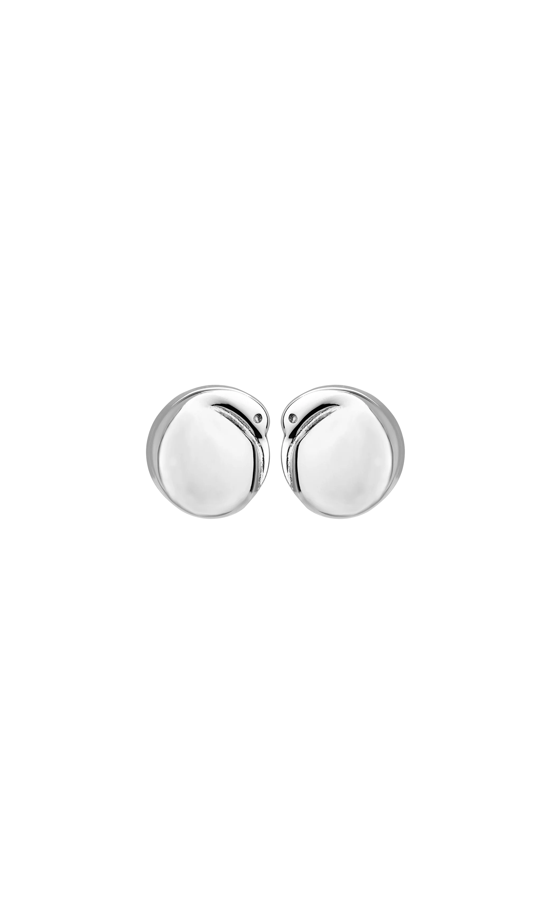 Boh Runga - Kiwi Studs – gecko in the village