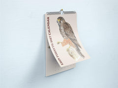Erin Forsyth - 2027 Wall Calendar