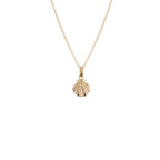Evolve Jewellery - Seashell Necklace (Patient) - Gold