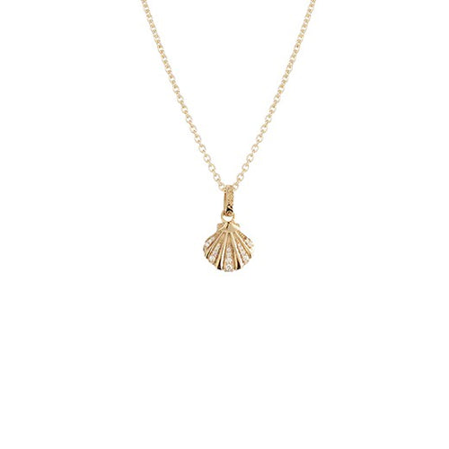 Evolve Jewellery - Seashell Necklace (Patient) - Gold