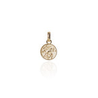 Evovle Charm - Tui Coin Pendant Charm (Admired) - Gold