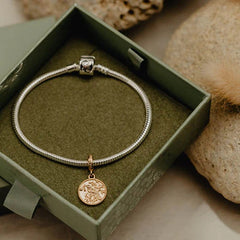 Evovle Charm - Tui Coin Pendant Charm (Admired) - Gold
