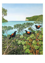 General Card - Clare Reilly - Resounding Saddleback Songs