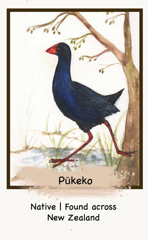 Getting Lost Card Game - The NZ Bird Edition