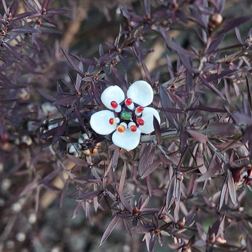 Glass Art - Native Flora: Manuka Stem white.