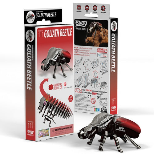 3D Cardboard Kit Set - Goliath Beetle