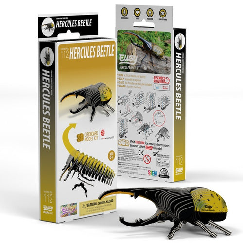 3D Cardboard Kit Set - Hercules Beetle