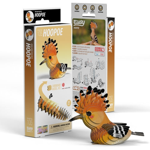 3D Cardboard Kit Set - Hoopoe