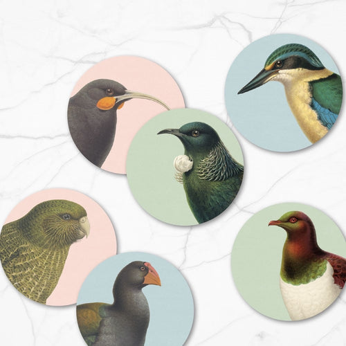 Hushed Birds Set of 6 Coasters A