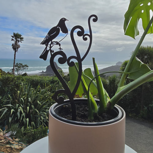 Kereru Koru in a gift box