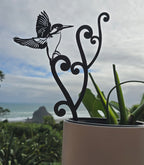 Kingfisher Koru in a gift box