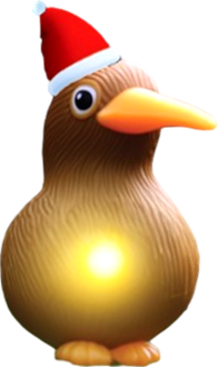 Kiwi Santa Lights - USB Powered