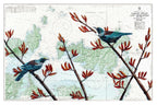 Limited Edition A2 Print - Tamaki Tui