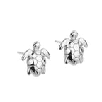 Little Taonga Turtles Studs silver