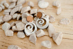 NZ Made Signature Earrings - Wood Stud Koru