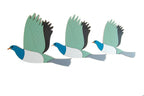 New Zealand Airways Kereru Trio set