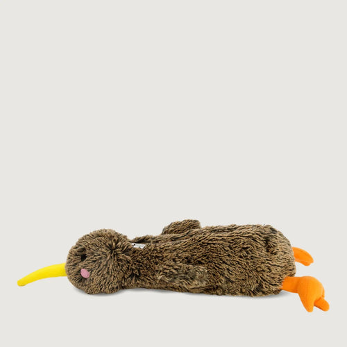 Pencil Case - Kimi the Kiwi