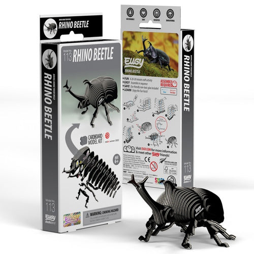 3D Cardboard Kit Set - Rhino Beetle