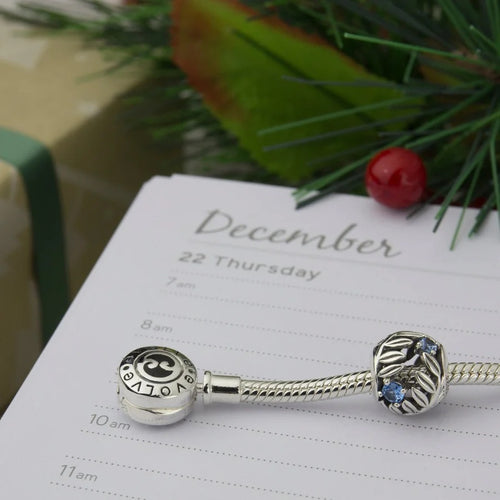 Sterling Silver Charm - December Birthstone (Friendship)