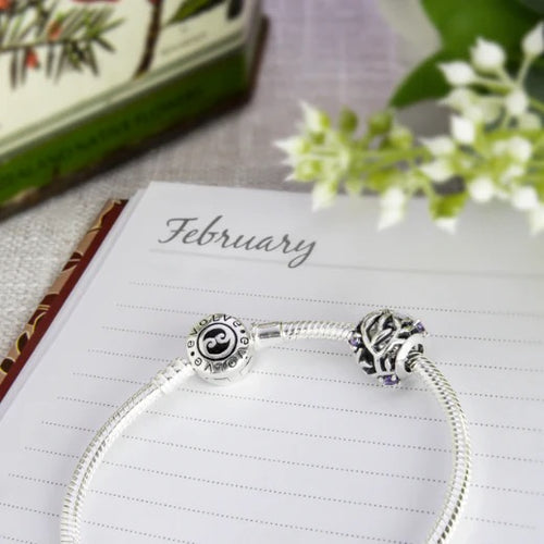 Sterling Silver Charm - February Birthstone (Wisdom)
