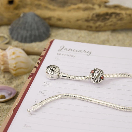 Sterling Silver Charm - January Birthstone (Protection)