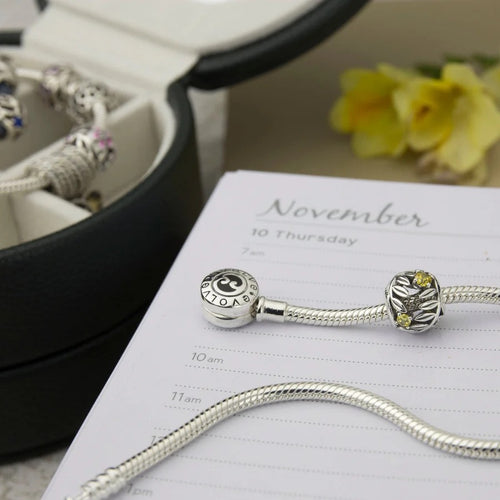 Sterling Silver Charm - November Birthstone (Joy)