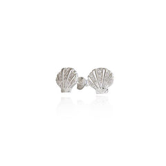 Sterling Silver Earrings - Evolve Seashell (Patient)