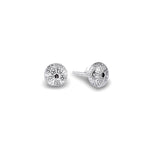Sterling Silver Earrings - Kina Shell Studs