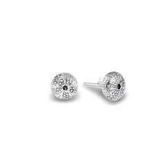 Sterling Silver Earrings - Kina Shell Studs