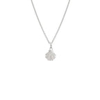 Sterling Silver Necklace - Evolve Seashell