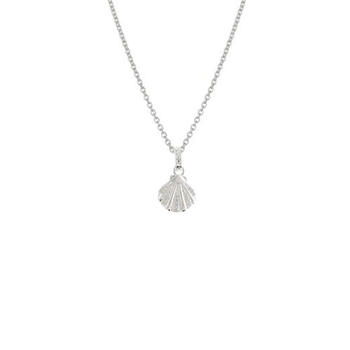 Sterling Silver Necklace - Evolve Seashell