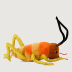 Wiremu the Weta - Soft Toy