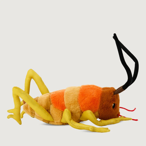 Wiremu the Weta - Soft Toy