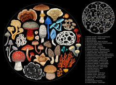 Wolfkamp & Stone - Fungi - 1000 Pce Round Puzzle