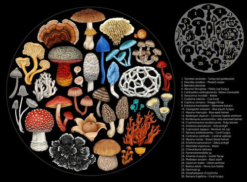 Wolfkamp & Stone - Fungi - 1000 Pce Round Puzzle