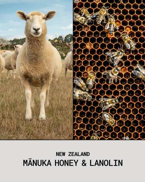 Poipoi Manuka Honey & Lanolin (SPF15+) Lip Balm 15g