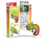 3D Cardboard Kit Set -Chameleon