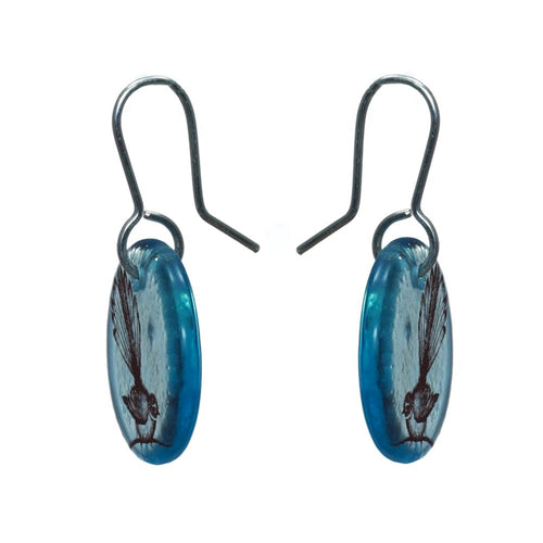 Glass Fantail Disc Earrings