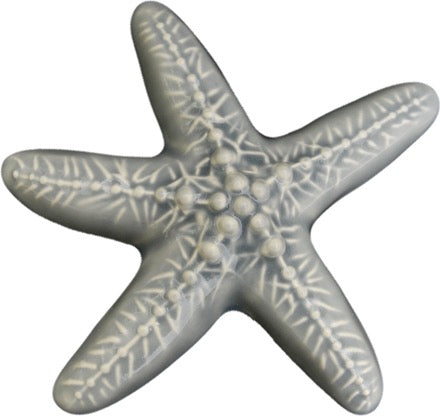 Ceramic Wall Star Fish Small