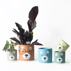 Cute Bear Face Planter - Sky Blue