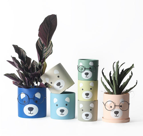 Cute Bear Face with Glasses Planter - Green Tea