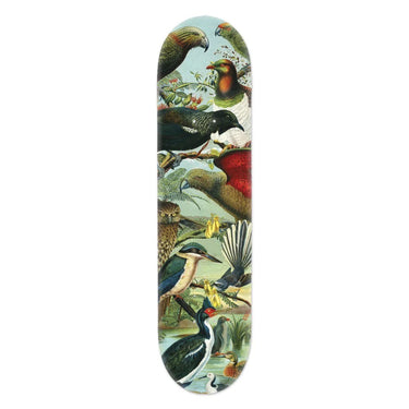 Skateboard Deck - Native Birds of NZ