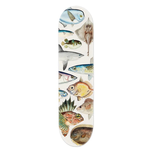 Skateboard Deck - Fishes of New Zealand