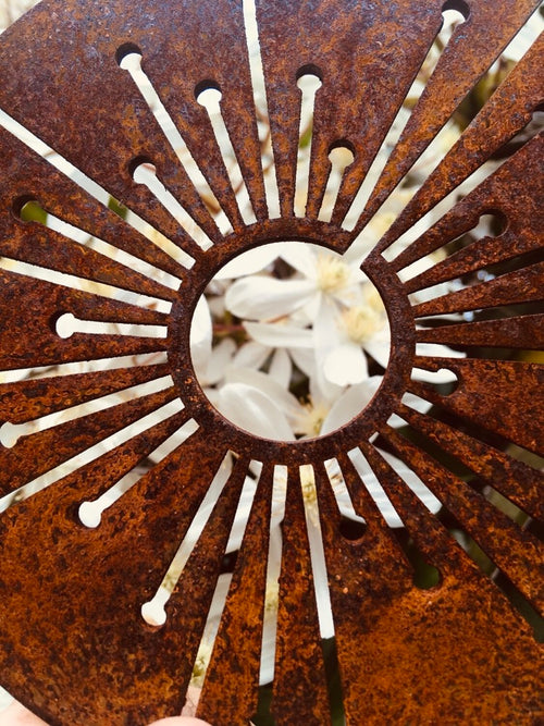 Corten Spinning Alliums