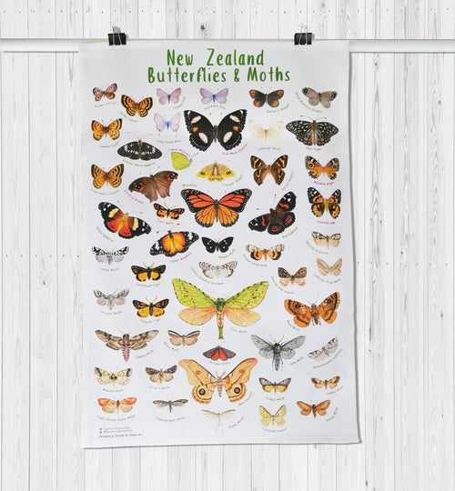 Butterflies & moths Cotton Tea Towel