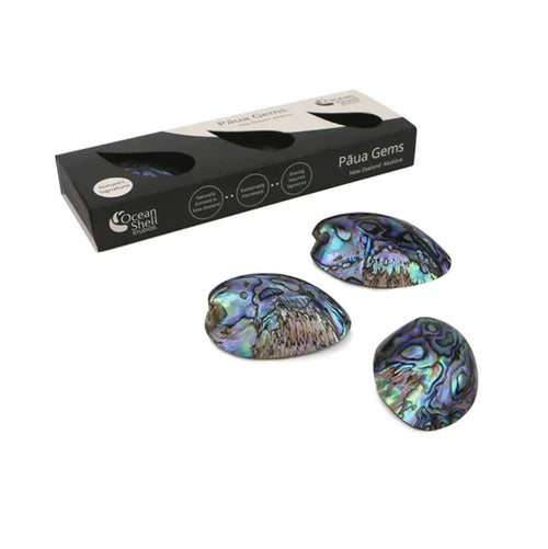 Paua Gems in box Set of 3