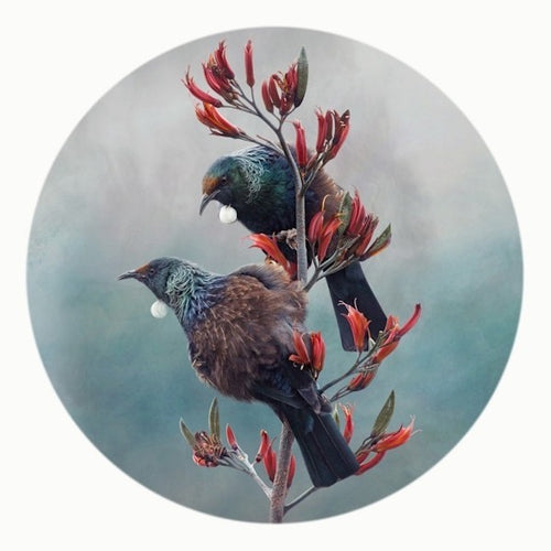 General Card - Tui Duet